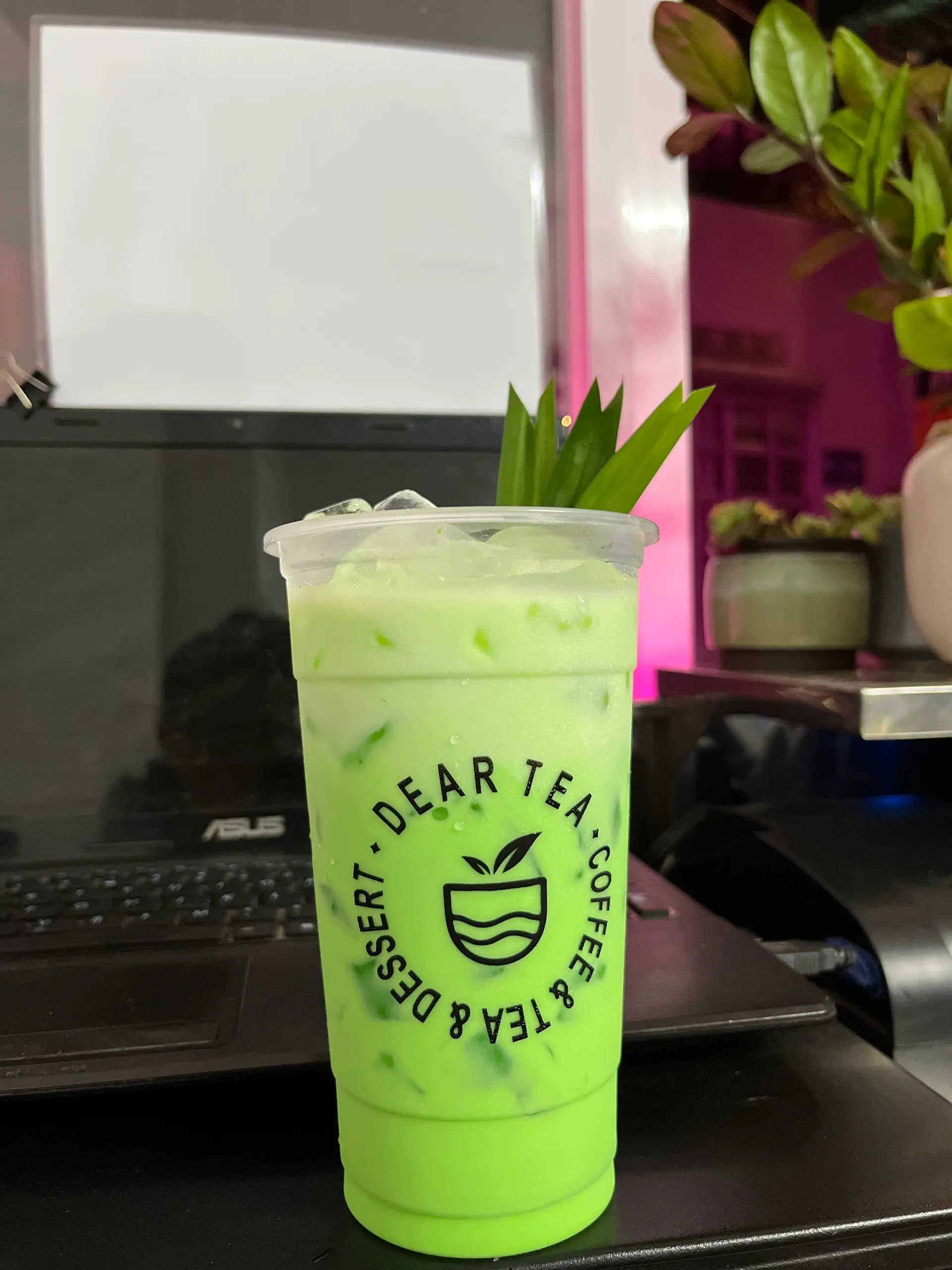Hình ảnh Sâm Dứa Sữa
