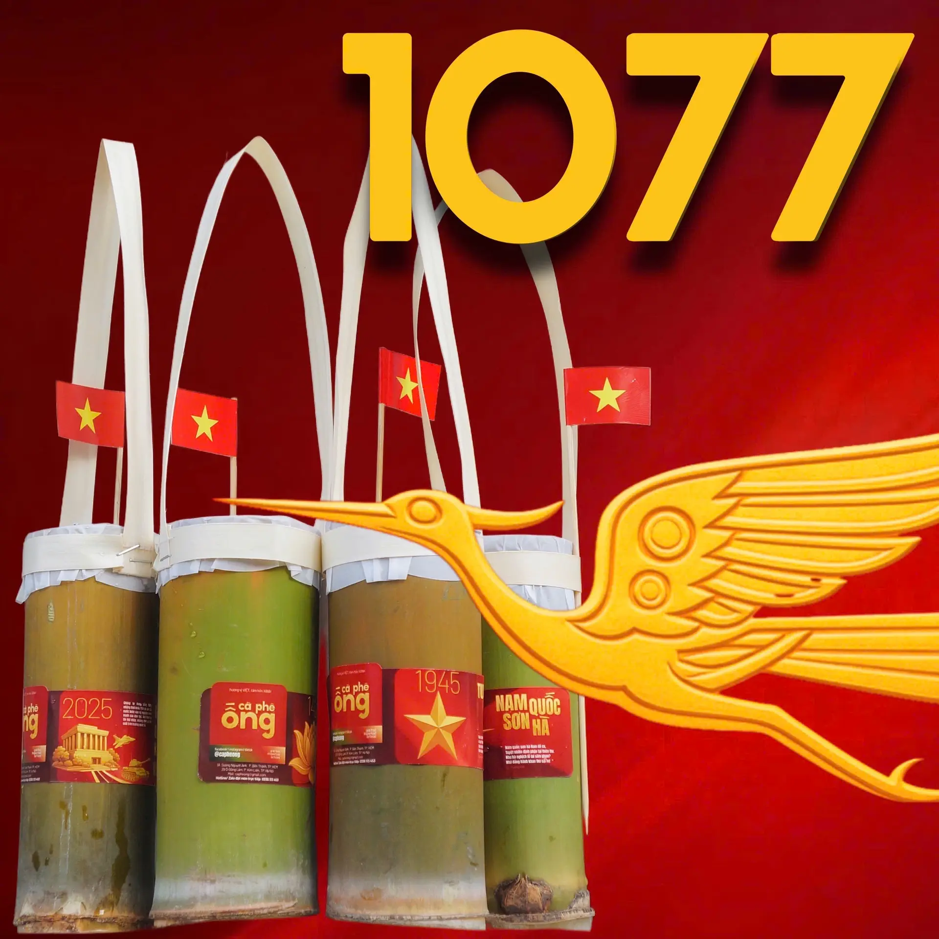 Hình ảnh 1077