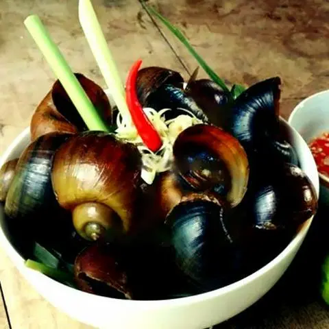 Hình ảnh Ốc Bươu Hấp Xả