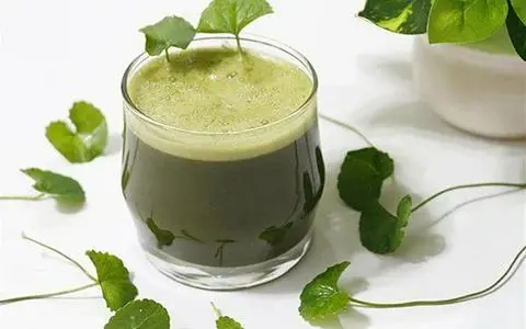 Hình ảnh Rau má nước dừa tươi