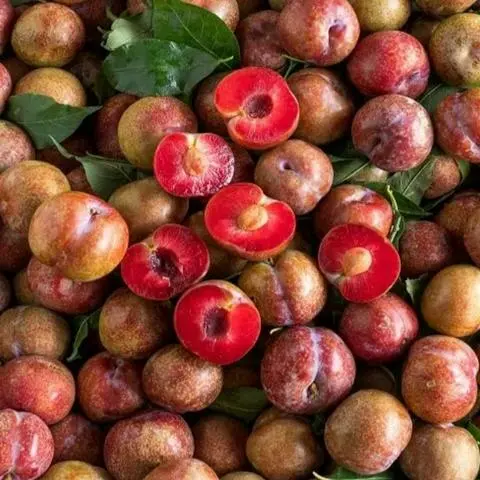 Hình ảnh mận hà nội 400gr +muối 