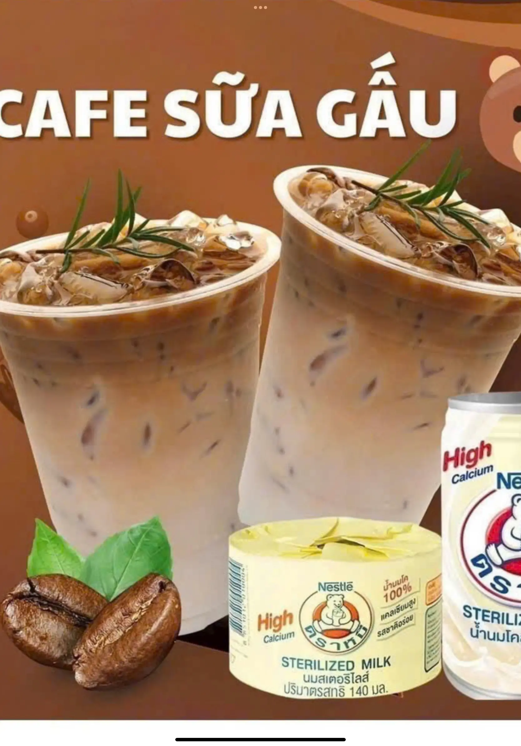 Hình ảnh cacao sữa gấu L