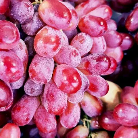 Hình ảnh Nho Đỏ giòn ngọt không hạt
