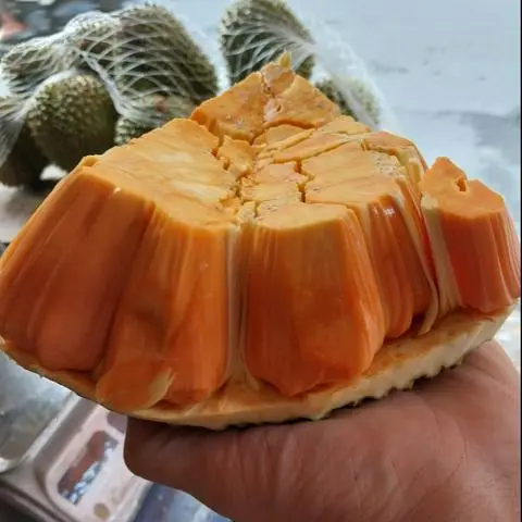 Hình ảnh mít đỏ indo cắt miếng (1kg)