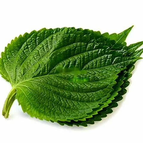 Hình ảnh 깻잎 - 10 LÁ MÈ HÀN QUỐC CUỐN THỊT