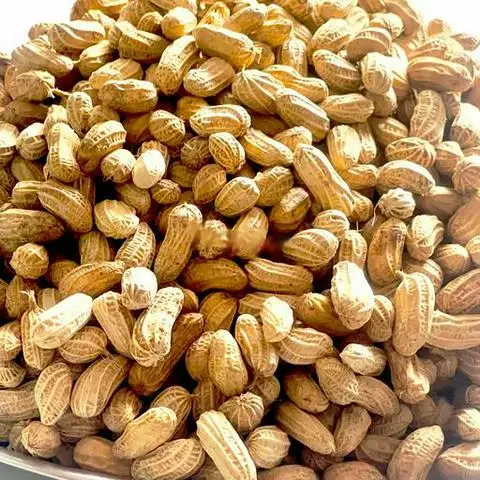 Hình ảnh Đậu phộng Thái nấu tại chỗ - 1kg