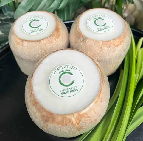 Hình ảnh Rau câu trái dừa vị nguyên bản - XL (700gr - 750gr/trái)