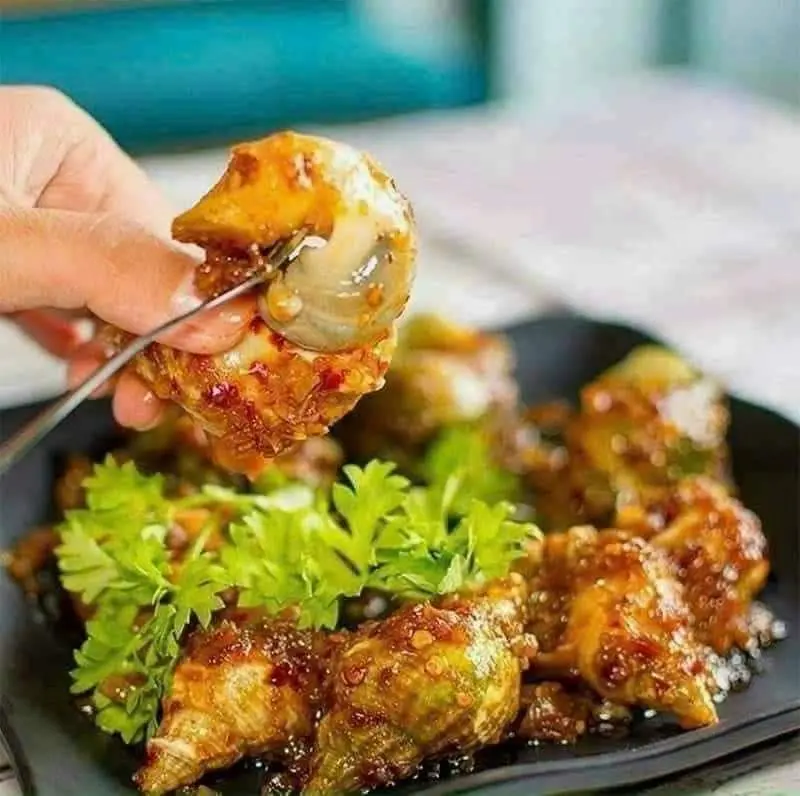 Hình ảnh Ốc Bulot Pháp loại 1 