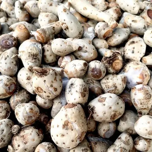 Hình ảnh Khoai môn cao bột dẻo - 1kg