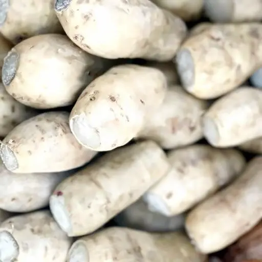 Hình ảnh Khoai lang trắng bột - 1kg