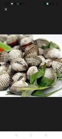 Hình ảnh sò huyết là cốt