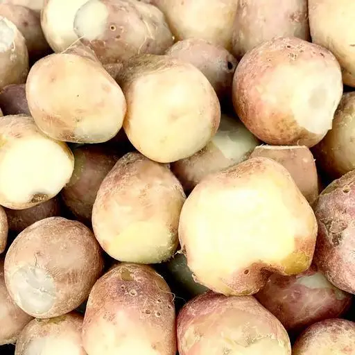 Hình ảnh Khoai lang sữa dẻo - 1 kg