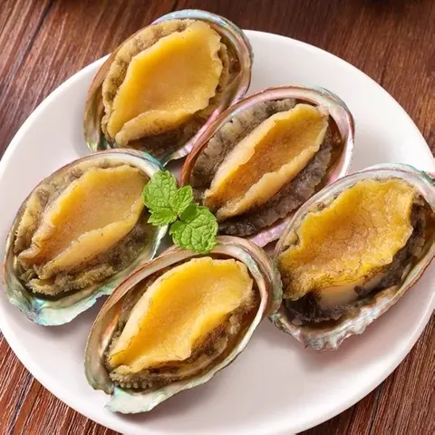 Hình ảnh BÀO NGƯ