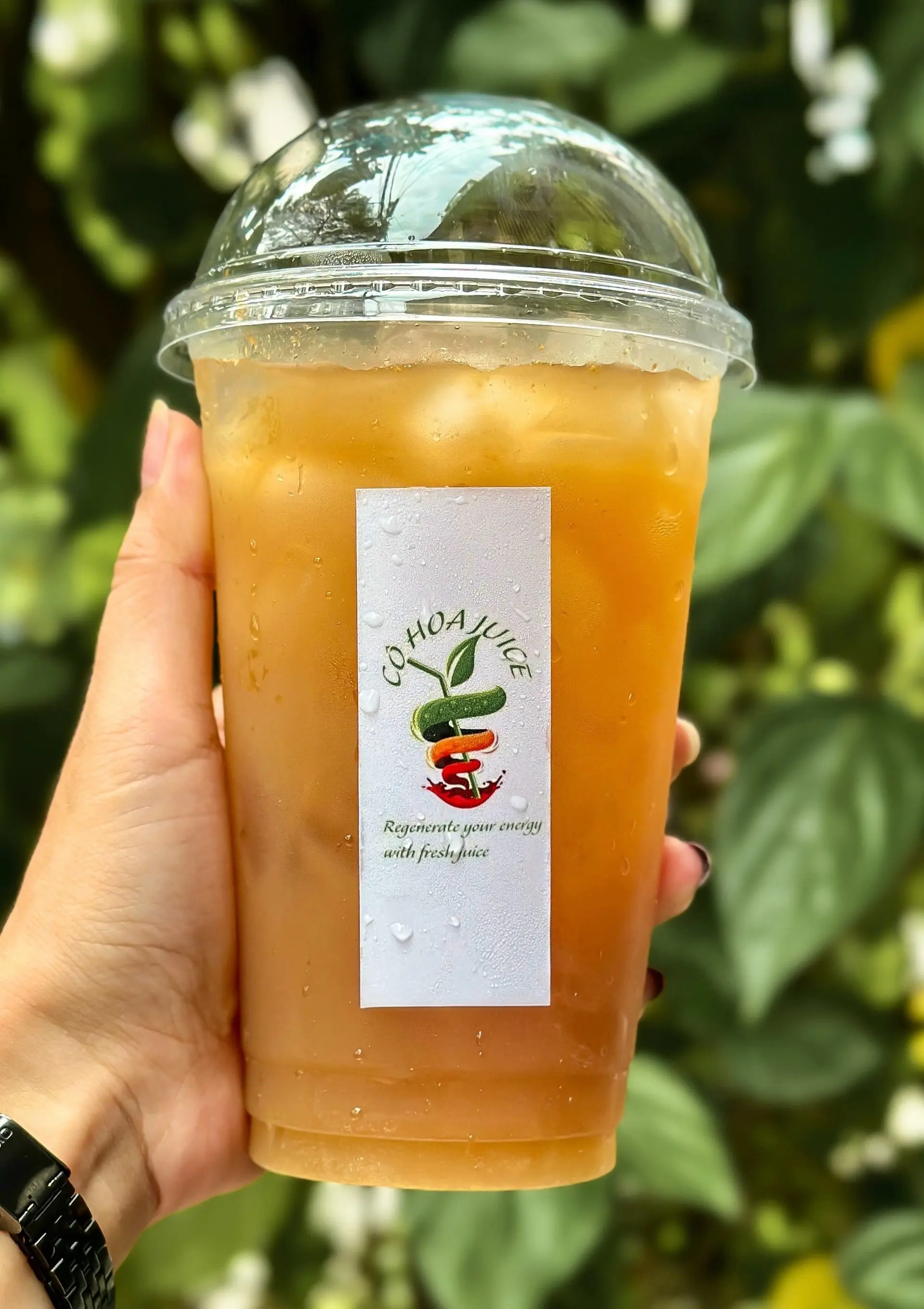 Hình ảnh Nước Ép Lê ( mix 1 loại)