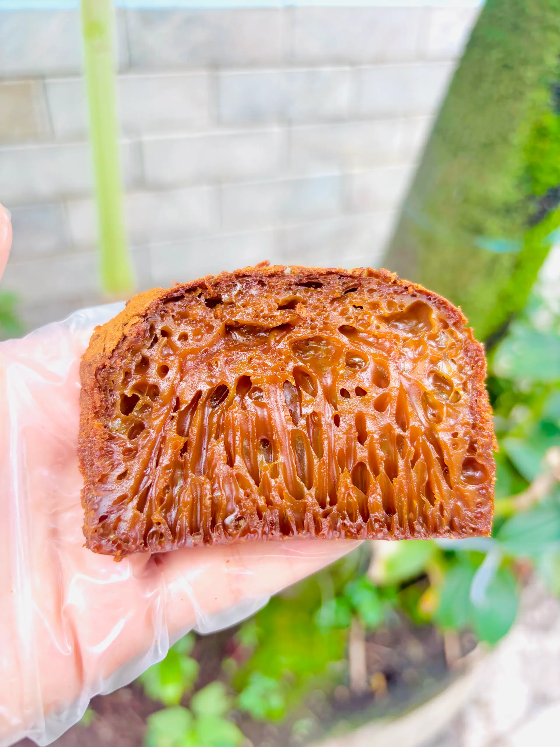 Hình ảnh Bánh bò thốt nốt nửa ổ