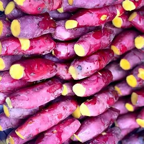 Hình ảnh Khoai lang Nhật mật - 1kg