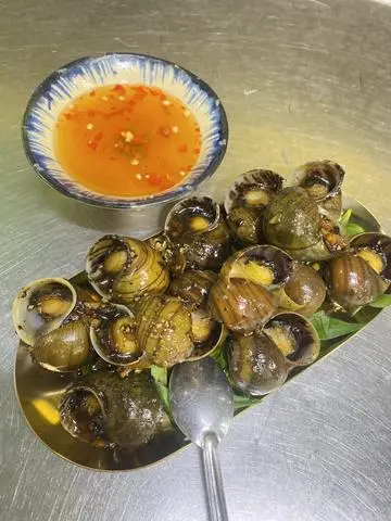 Hình ảnh Ốc bươu sốt tiêu đen