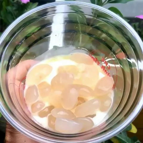 Hình ảnh sữa chua hạt đác