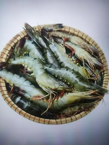 Hình ảnh tôm thêm 2 con