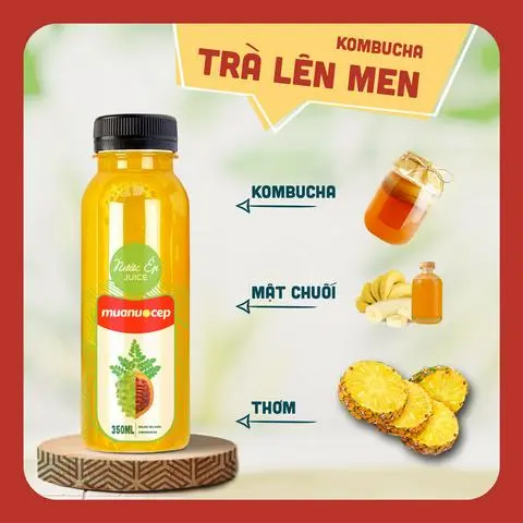 Hình ảnh Kombucha Trà Lên Men Golden Healthy