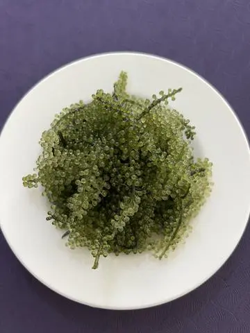 Hình ảnh Rong nho tươi kèm sốt