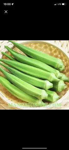 Hình ảnh đậu bắp