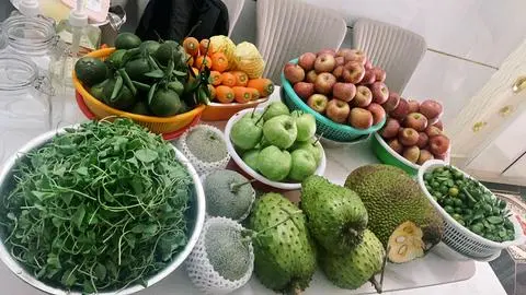 Hình ảnh Ép dưa lưới