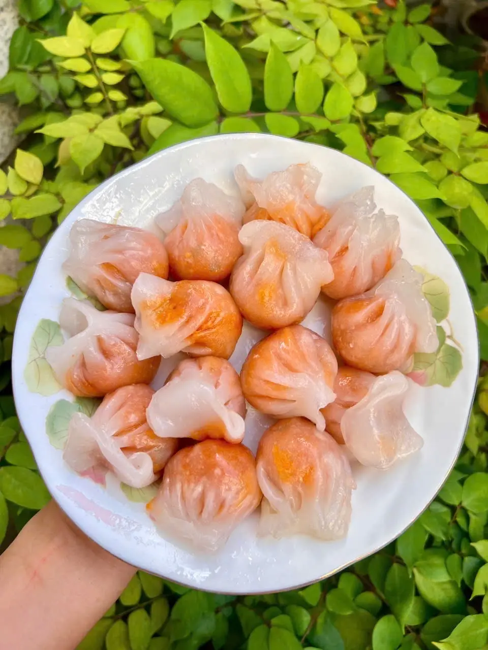 Hình ảnh Há cảo tôm thịt viên