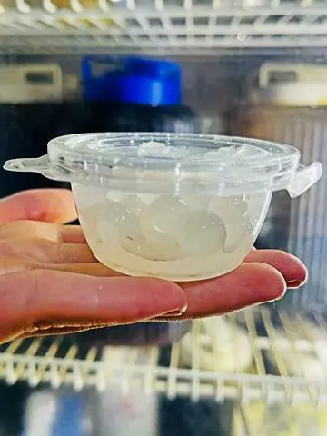 Hình ảnh Hạt Thuỷ Tinh Yaourt Siêu Ngon