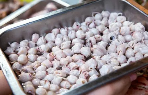 Hình ảnh Răng mực xào phômai