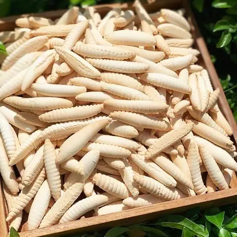 Hình ảnh 200gr bánh  sùng nhí