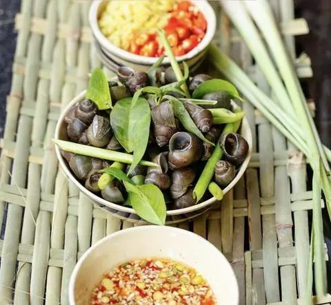 Hình ảnh Ốc bé (ốc đắng)