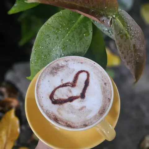Hình ảnh Cacao sữa Nóng (ly giấy)