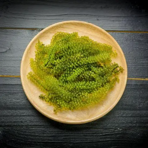 Hình ảnh Rong Nho Tươi 