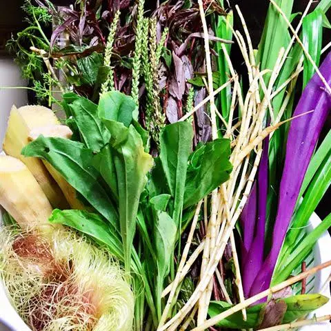 Hình ảnh nước sâm chai 