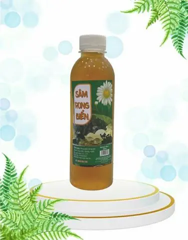 Hình ảnh SÂM RONG BIỂN 