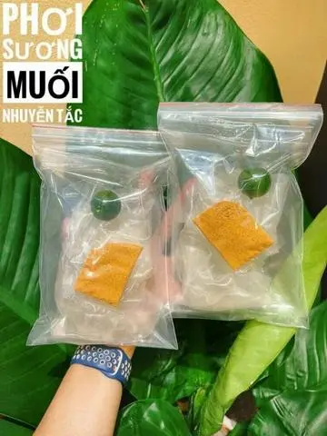 Hình ảnh Phơi sương muối nhuyễn tắc (tt)