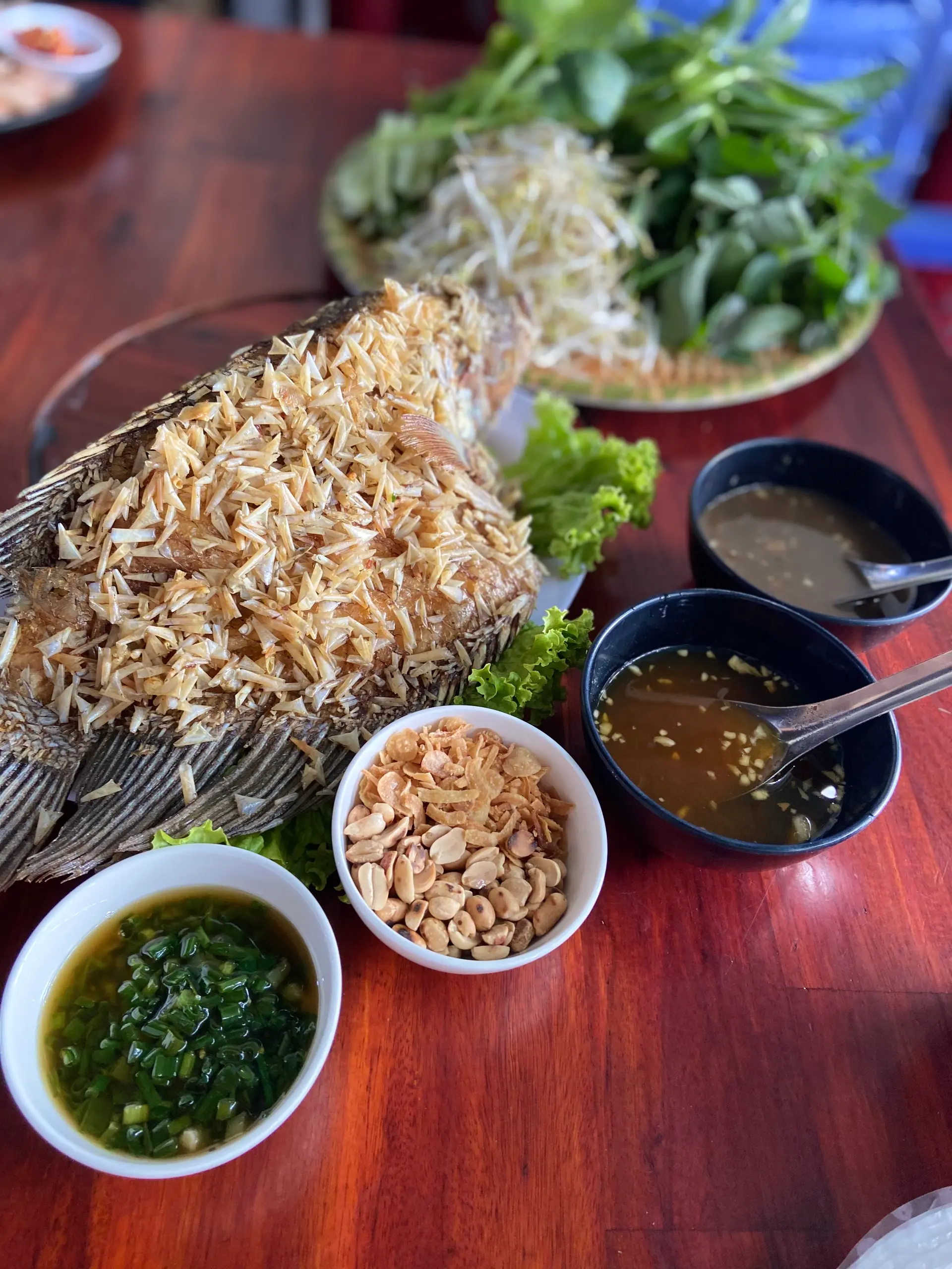 Hình ảnh Cá tai tượng chiên xù - con lớn