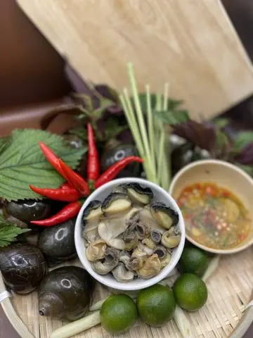 Hình ảnh Ốc lẫn thêm