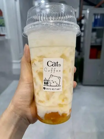 Hình ảnh Sữa chua xoài