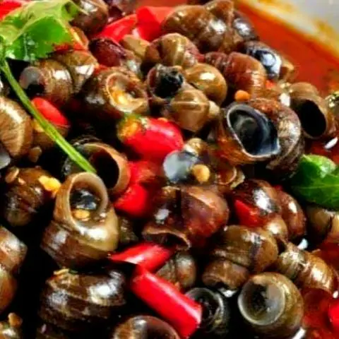 Hình ảnh Ốc đắng Xào Xả Ớt