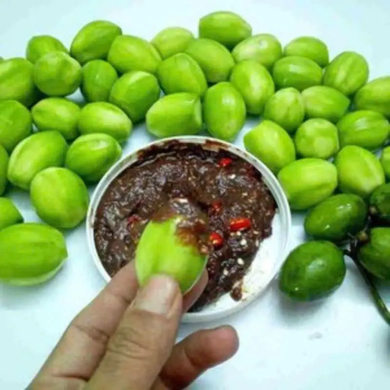 Hình ảnh Cóc non - mắm ruốc