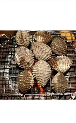 Hình ảnh sò huyết nướng mọi