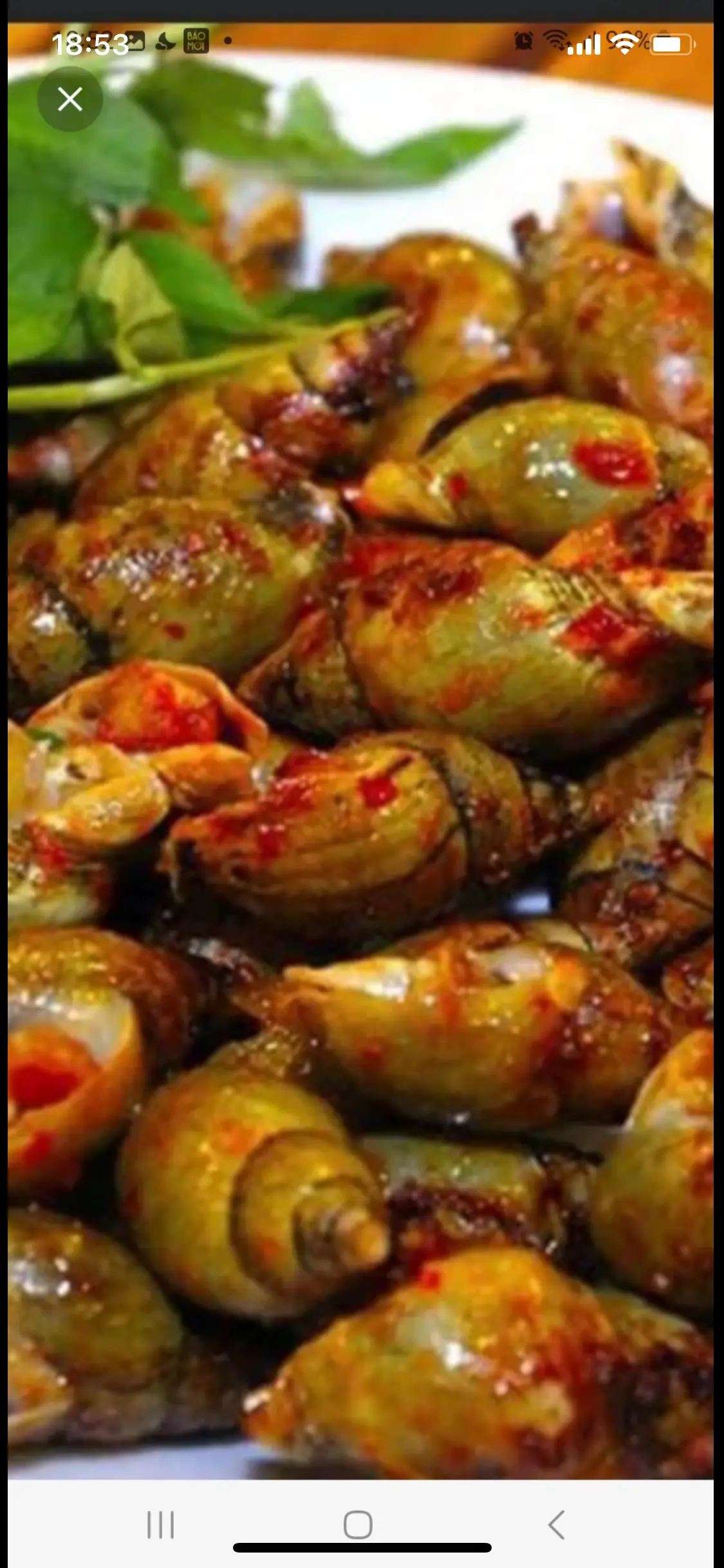 Hình ảnh cà na rang muối 