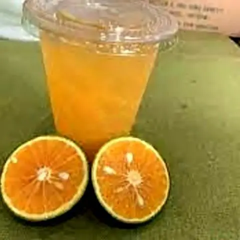 Hình ảnh Cam vắt sữa