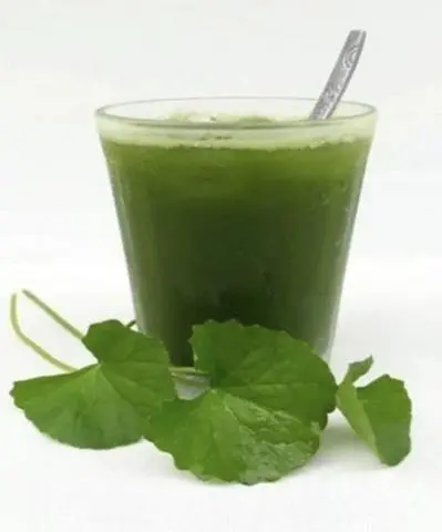 Hình ảnh rau má thường 