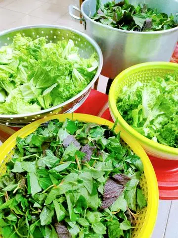 Hình ảnh RAU THÊM