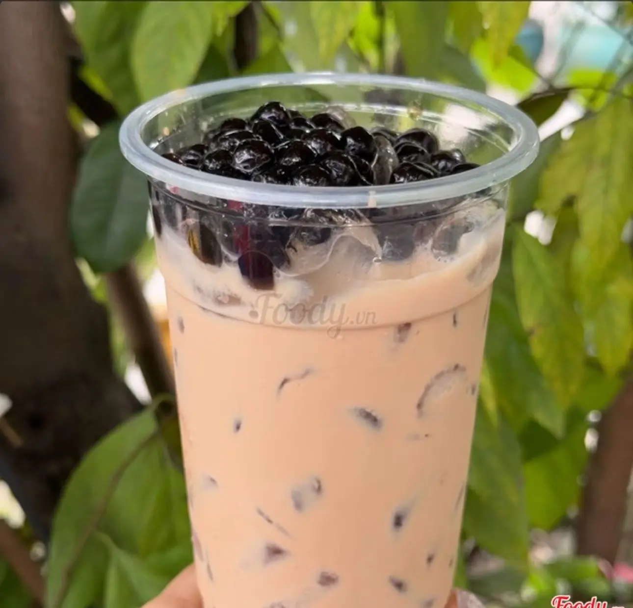 Hình ảnh Trà sữa trân châu 700ml