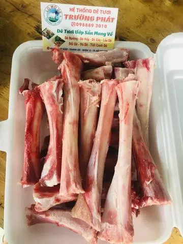 Hình ảnh Xương Ống Tuỷ 