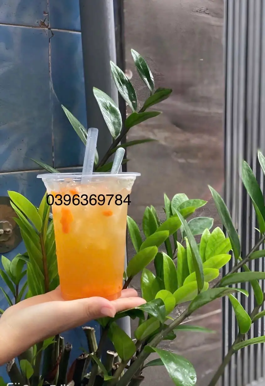 Hình ảnh Trà đào dầm